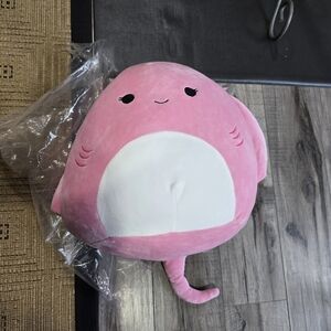 Saxa Rainbow Stingray